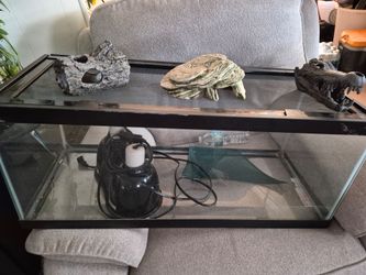 Reptile tank