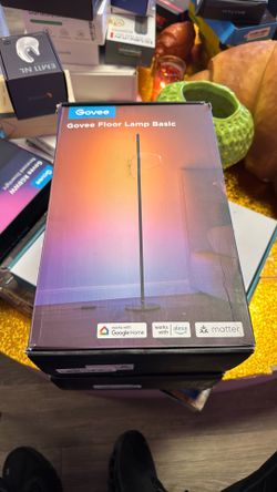 Govee Floor Lamp Basic 