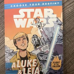 Star Wars Luke And Leia Adventure 