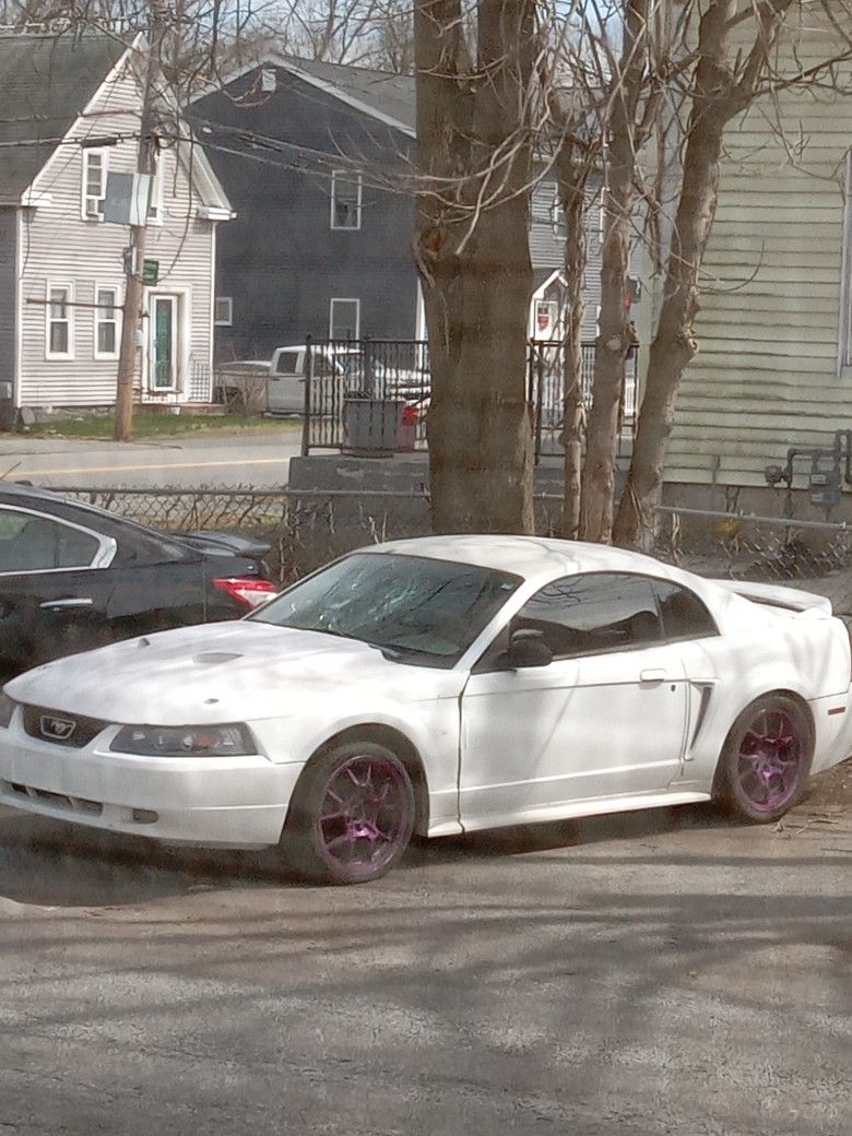 1999 Ford Mustang