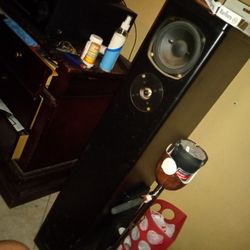 Definitive Technology Tl400  With 10 Inch Subwoofer Each Speaker Comes With As Sub And Front And Back Tweaters With Front And Back Midrange Speaker 