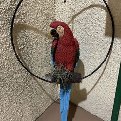 Free Parrot Plant