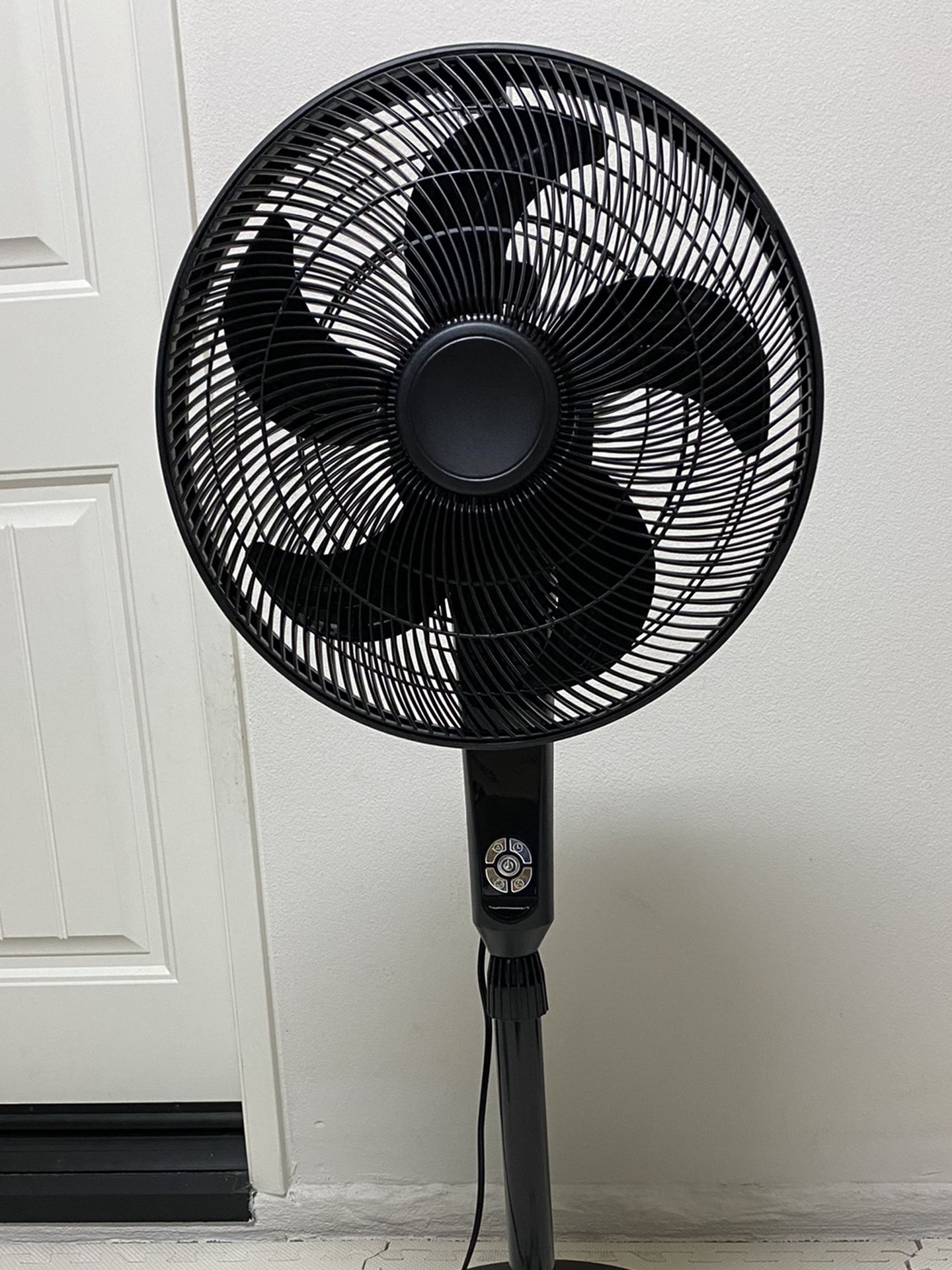 Fan