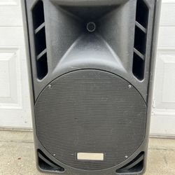 Carvin P12 Passive Speaker