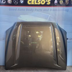 2022-2024 TOYOTA TUNDRA  23-24 TOYOTA SEQUIOA  HOOD