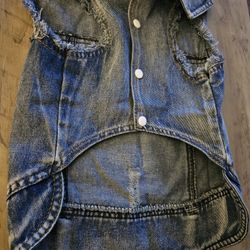 10) New Dog Blue Jean Jacket, Size XXL 
