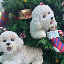 Bichon Dog Lovers 