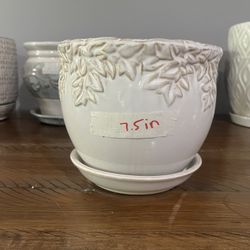 Plant Pot - 7.5”