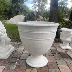 Concrete Pot
