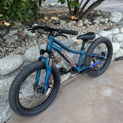 Specialized 20”