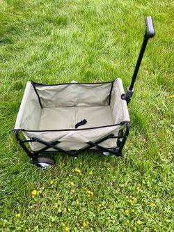 Wagon/ cart