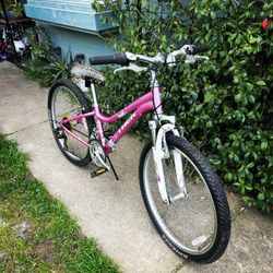 TREK MT220 YOUTH MOUNTAIN BIKE 24” Wheels 