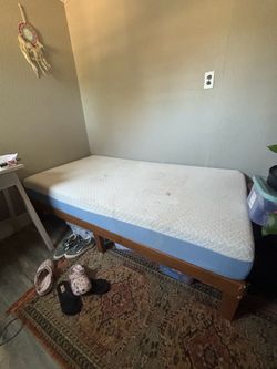 Twin Bed frame and Mattress