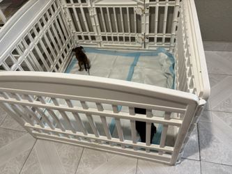 Puppy playpen