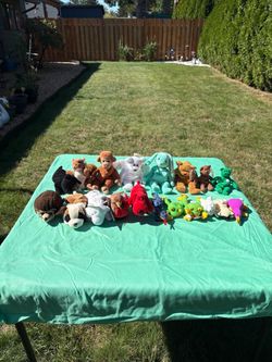 Misc. Ty Beanie Babies