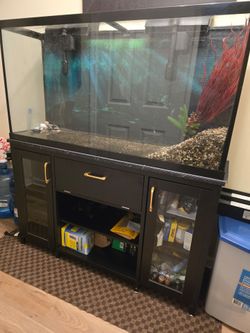 60gal aquarium  w/stand