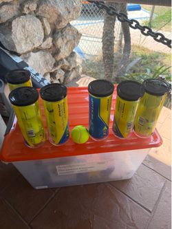 Dunlop championship series tennis balls