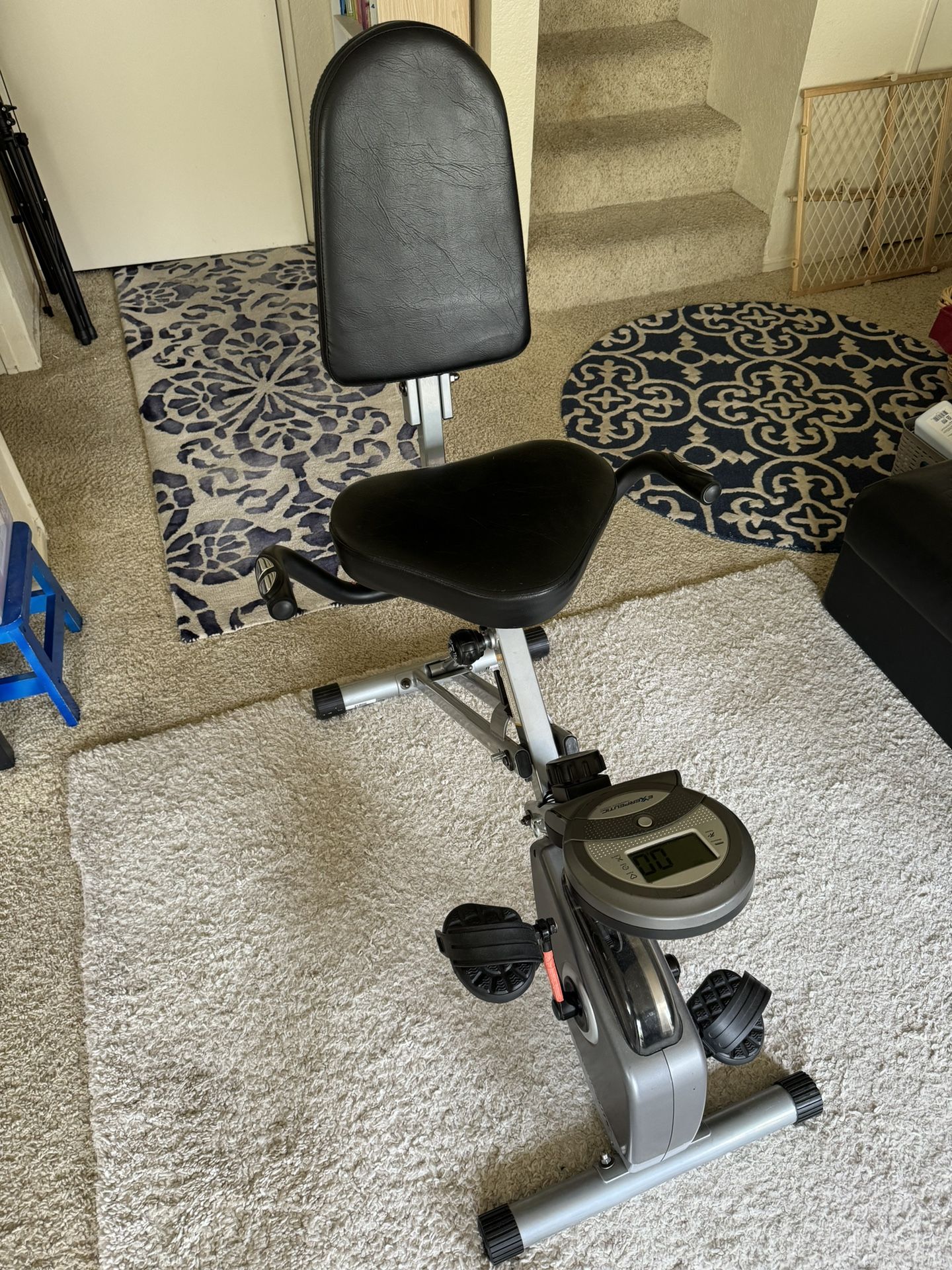 Recumbent Exercise Bike