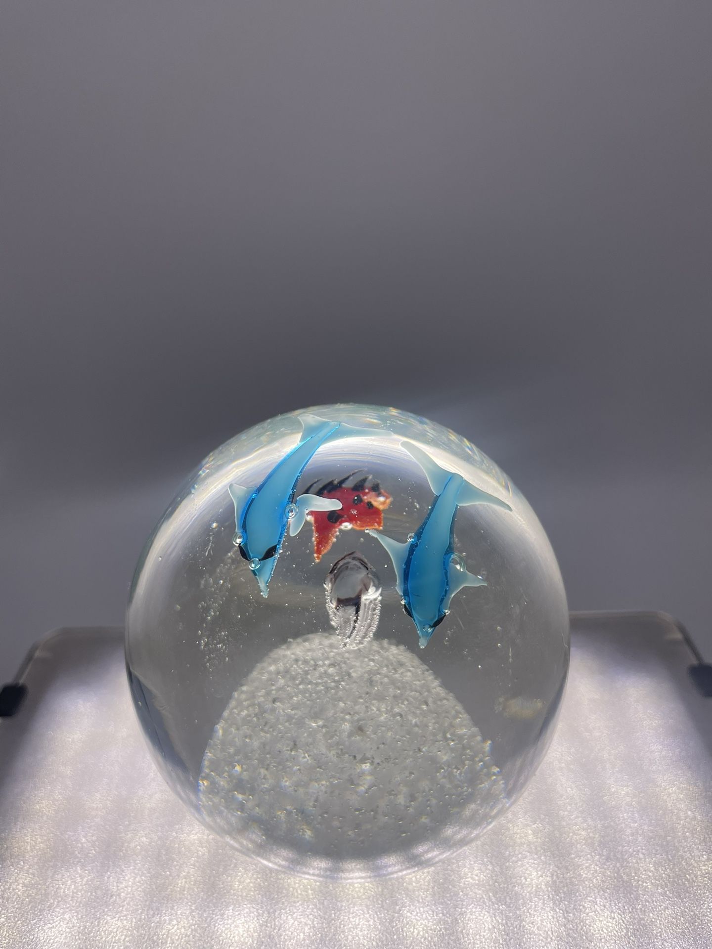 Vintage Glass Orb Paperweight Fish Dolphin Shell Starfish Sea Art Ocean Aquarium