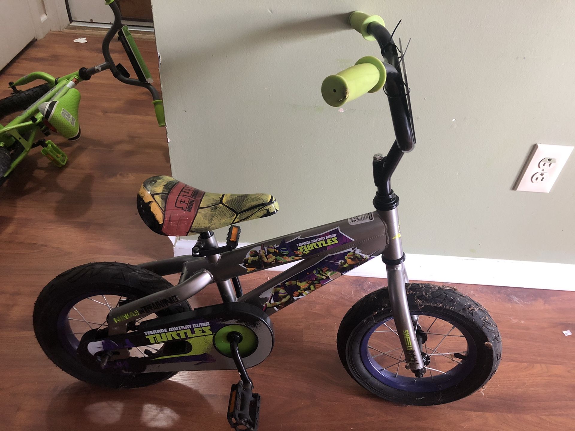 Teenage Mutant Ninja Bike
