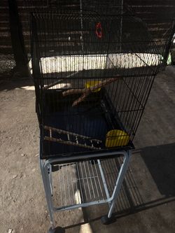 Bird Cage with Stand and Accessories