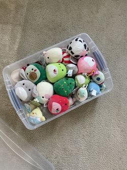 Squishmallow clips & small plush
