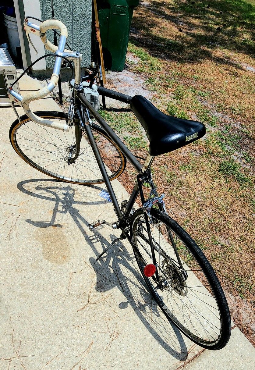 Vintage Raleigh Record Road Bike, Silver, 10 speed, medium frame, NICE!!