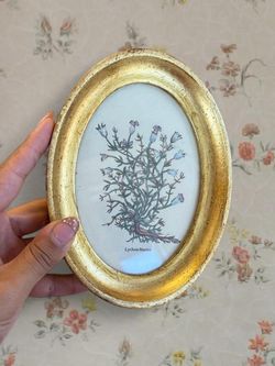 Vintage botanical framed print 🌿