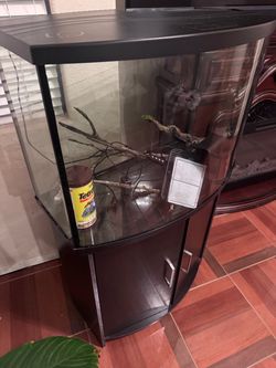 30-gallon fish tank