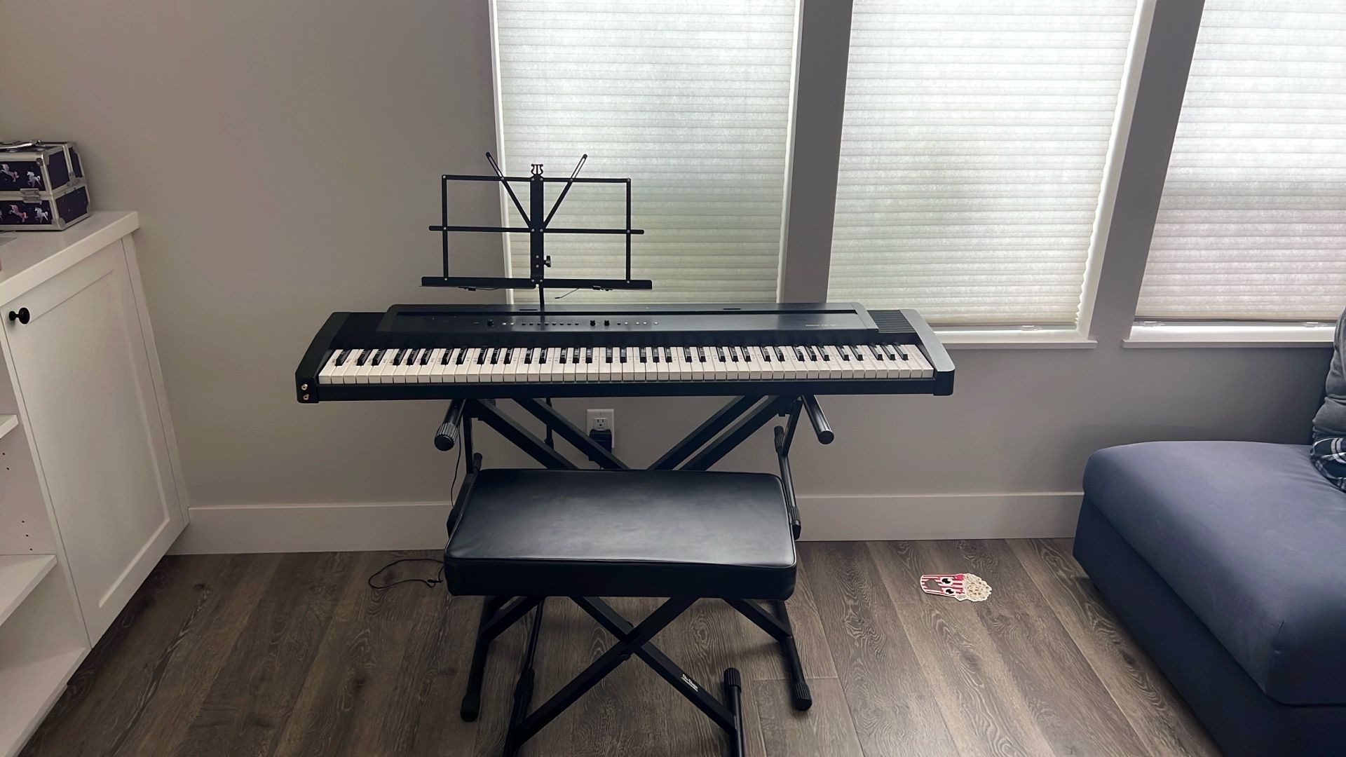 Keyboard/ digital piano