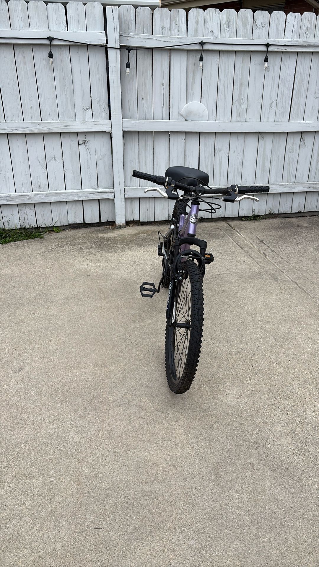 Bicycle Mongoose 24