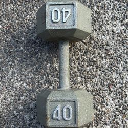 Single 40lb Iron Hex Dumbbell
