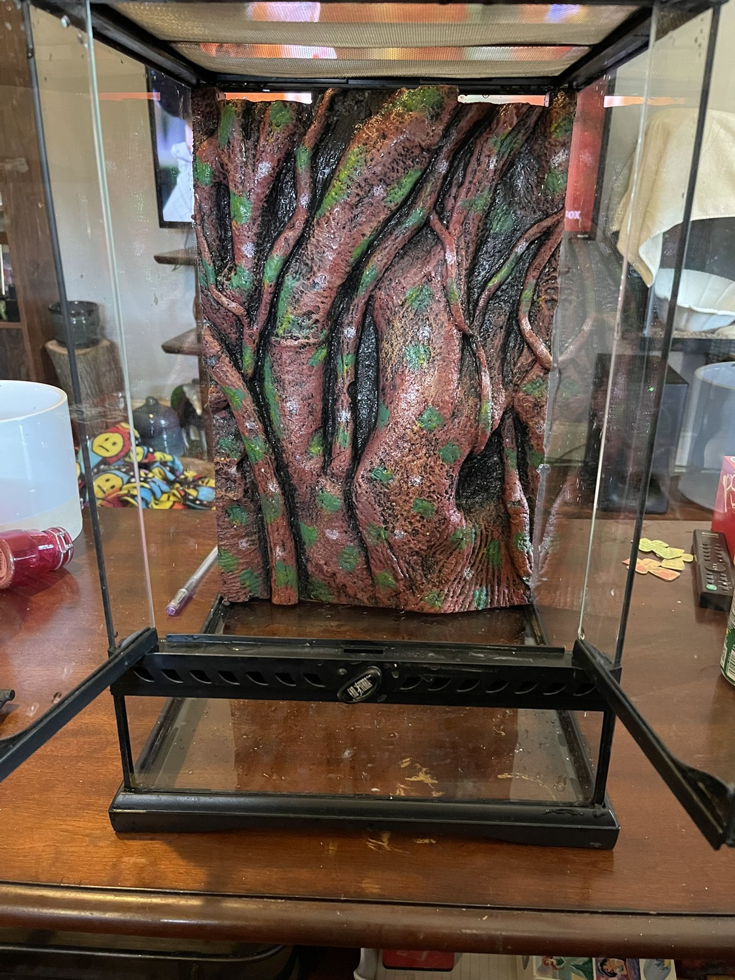 Spider Or dragon Enclosure 