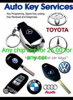 Anychipkey25.00