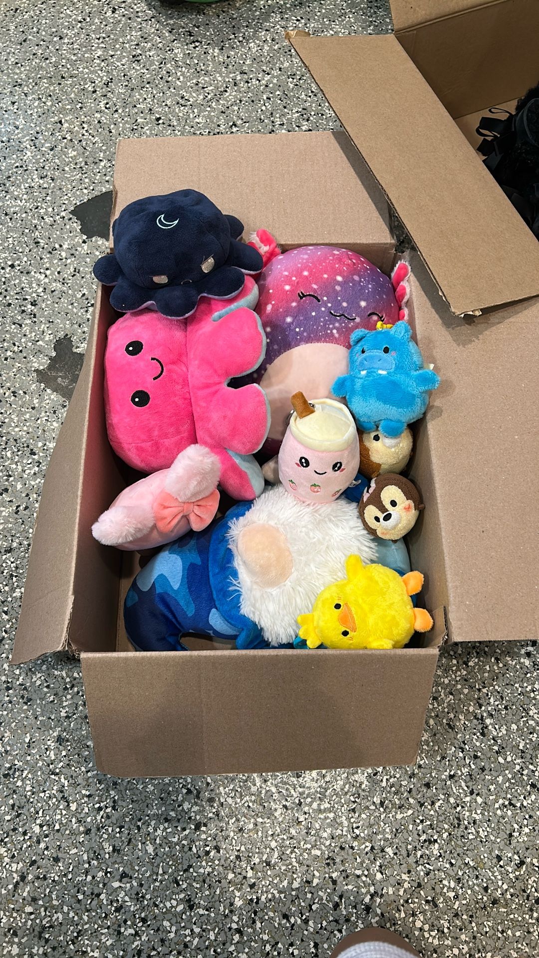Stuffed Animals