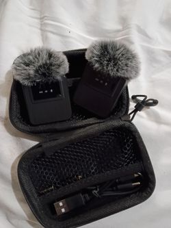 Mini microphones