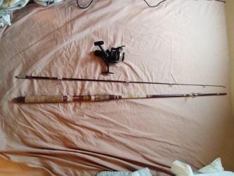 Fishing Pole And Reel