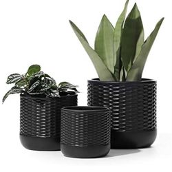 Outdoor/Indoor Ceramic Succulent Pot with Drainage