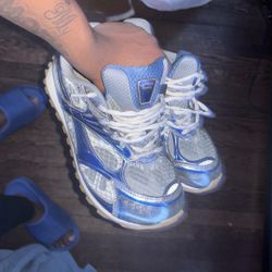 Blue And Grey Bottegas