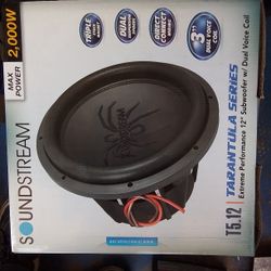 Sound Stream T5 12" Subwoofer 2000watt