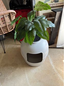 Secret litter box with plant