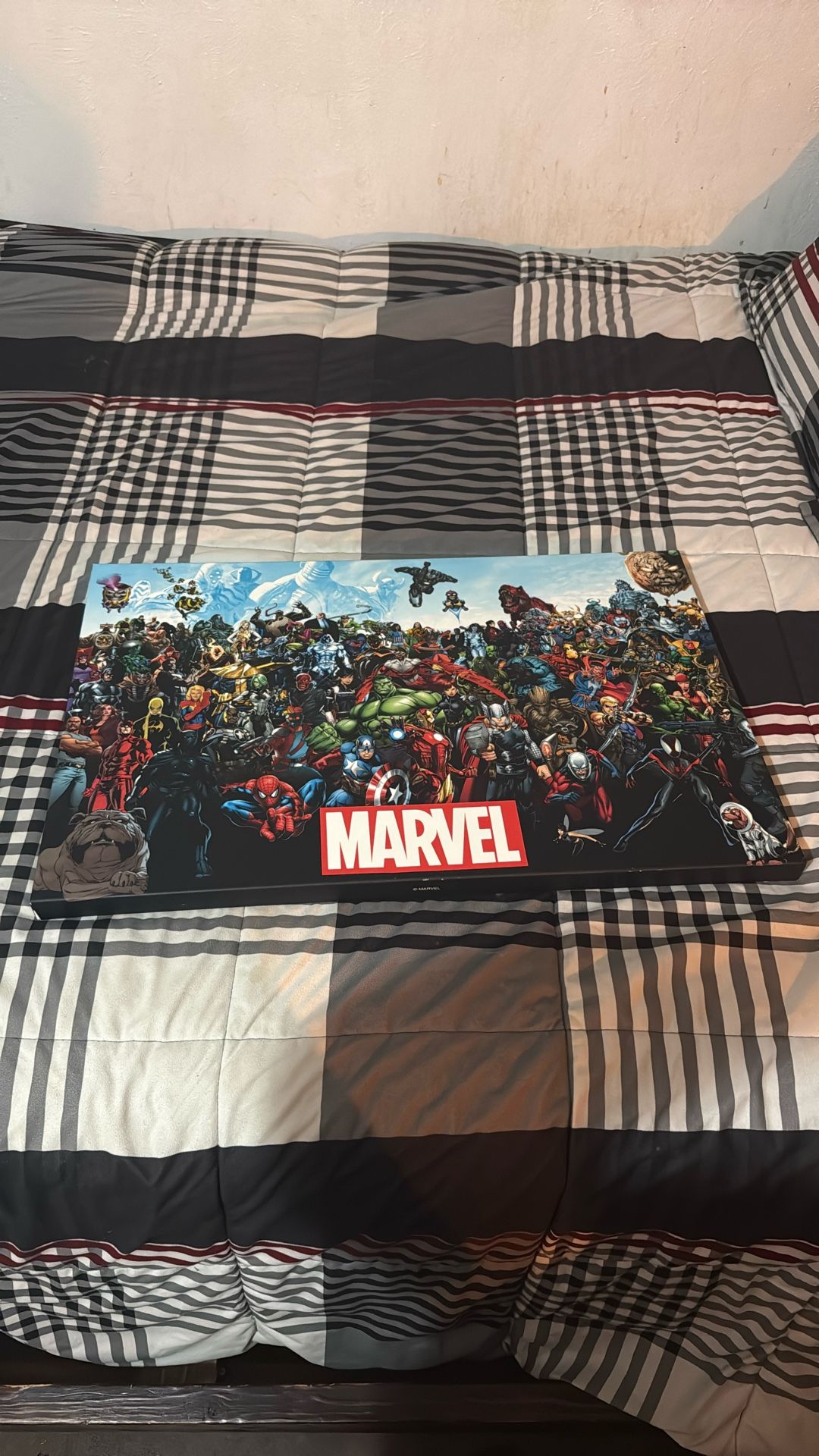 MARVEL Universe Character Canvas