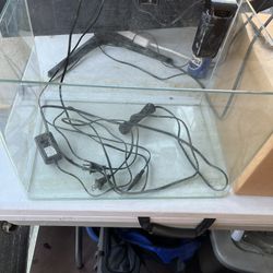 Fish Tank 