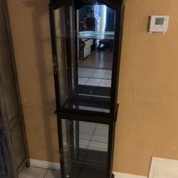 Lighted Curio  Cabinet 