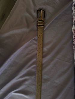 Carlisle belt