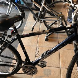 Bike Diamond Back