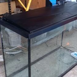 30 Gallon Fish Tank