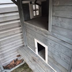 Cat House For Sale 