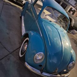 1962 Volkswagen Beetle