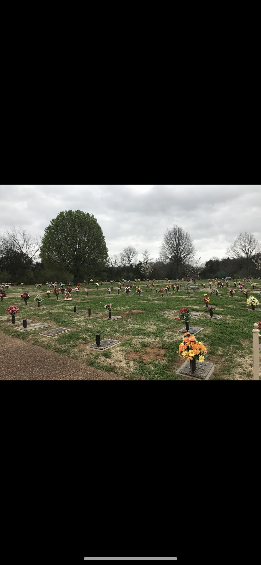 Roselawn Memorial Gardens Plot For 2